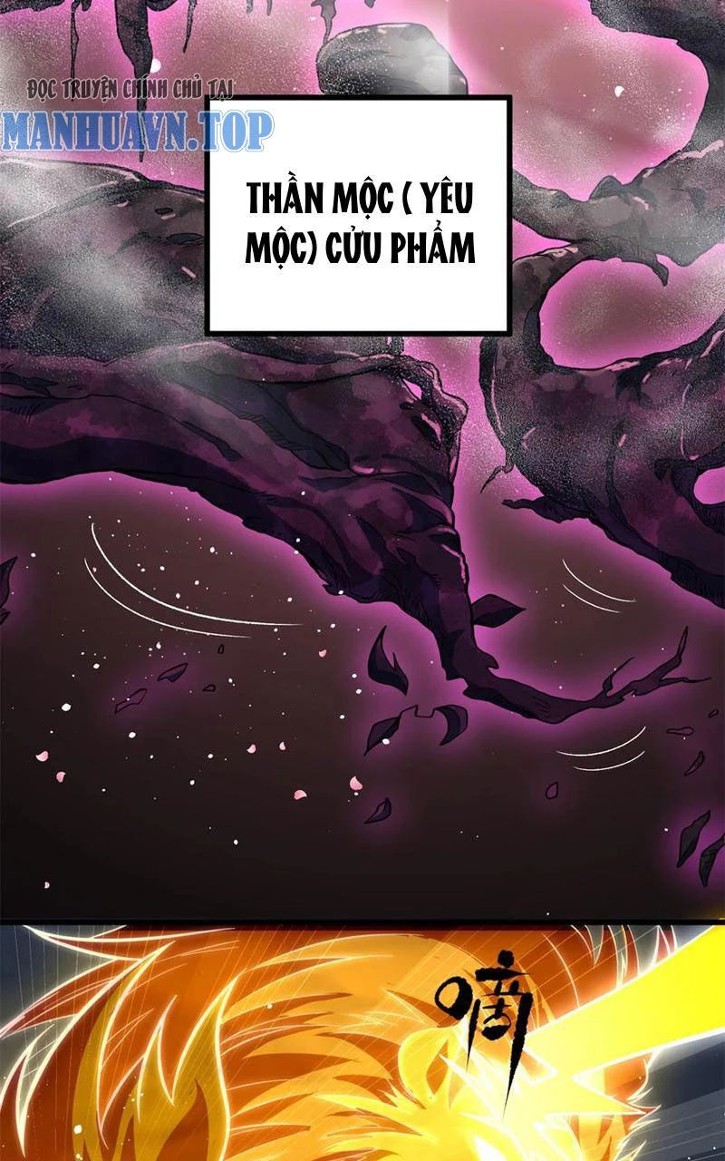 Toàn Cầu Cao Võ Chapter 249 - Trang 4