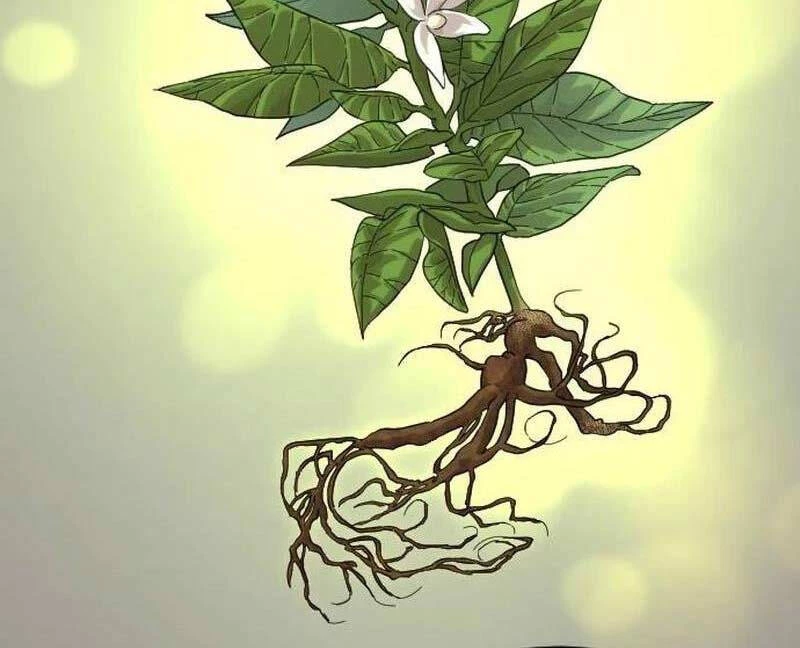 Hoa Sơn Tái Xuất Chapter 115 - Trang 3