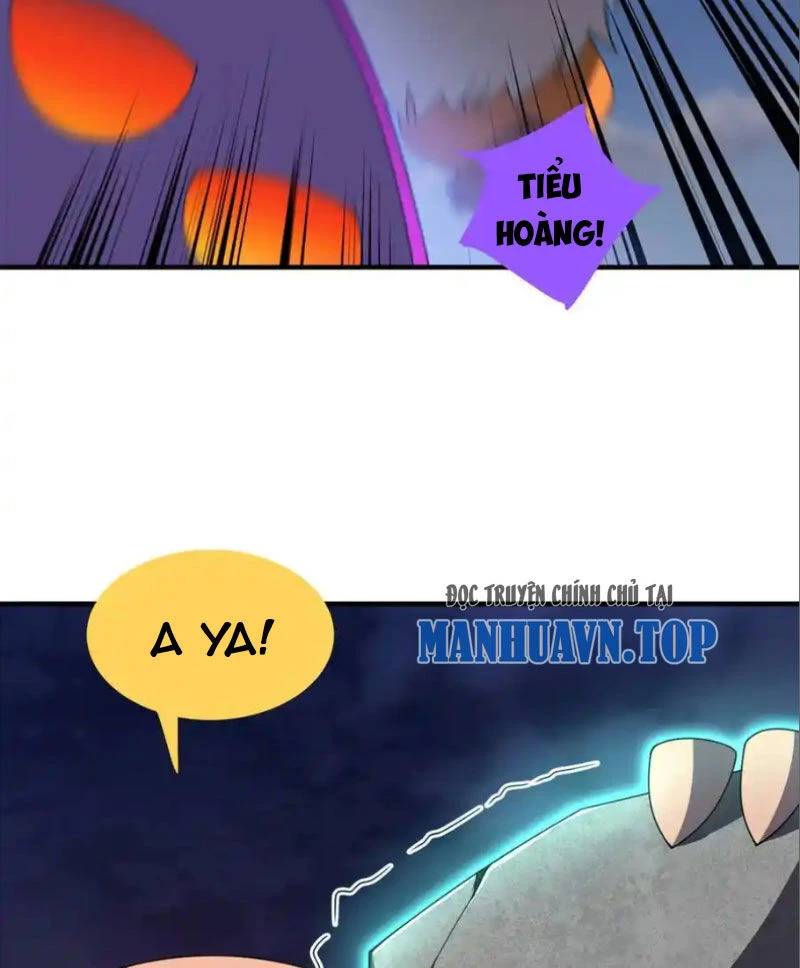 Thần Sủng Tiến Hóa Chapter 292 - Trang 4