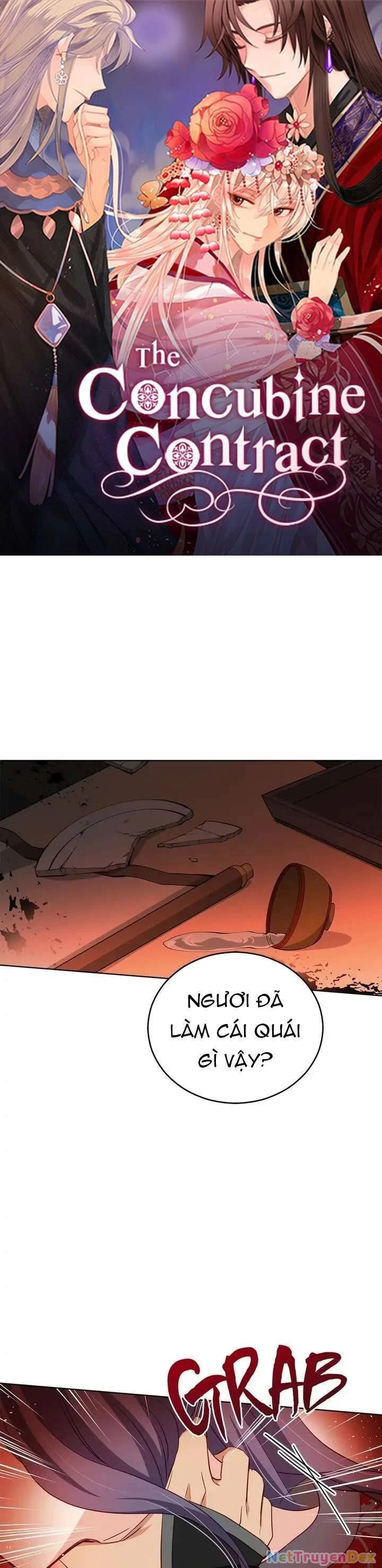 Ái Phi, Dao Của Nàng Rơi Rồi Chapter 75 - Trang 4