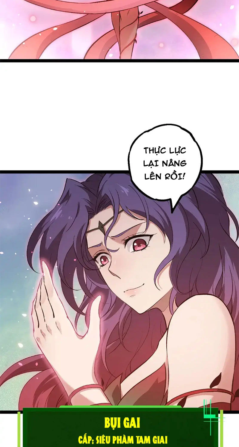 Chuyển Sinh Thành Liễu Đột Biến Chapter 193 - Trang 4