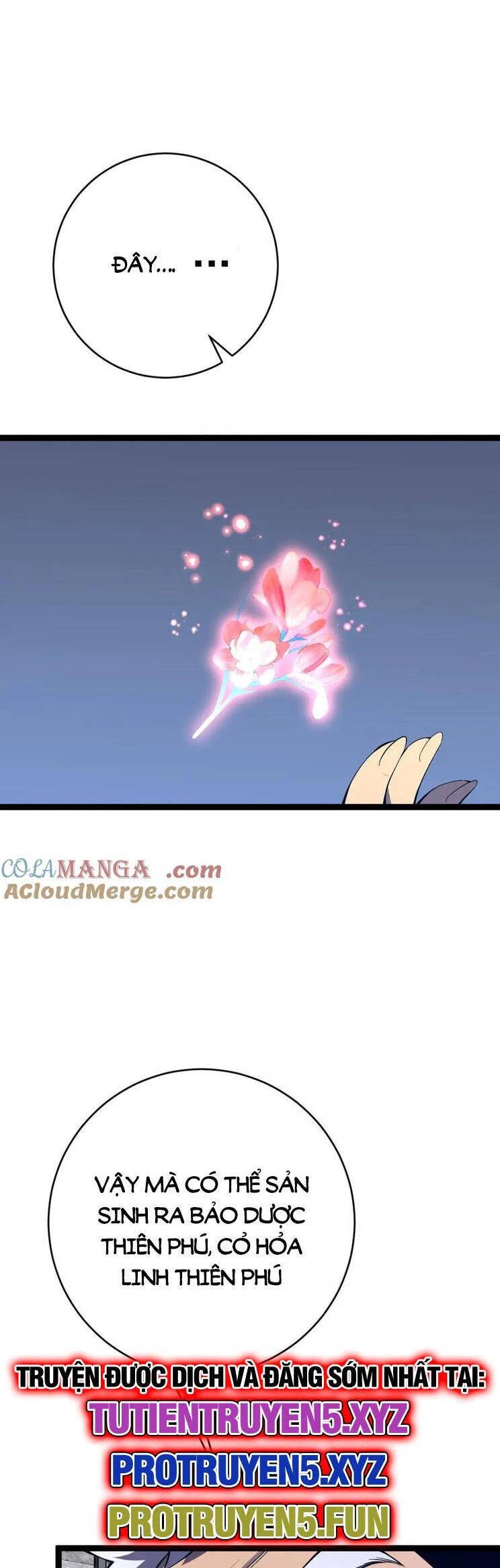 Thiên Phú Của Ngươi, Giờ Là Của Ta Chapter 73 - Trang 2