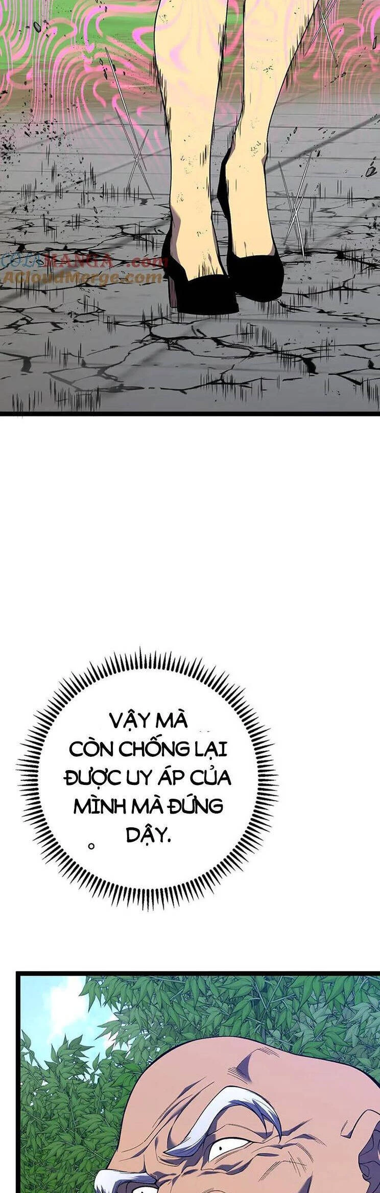Thiên Phú Của Ngươi, Giờ Là Của Ta Chapter 74 - Trang 4