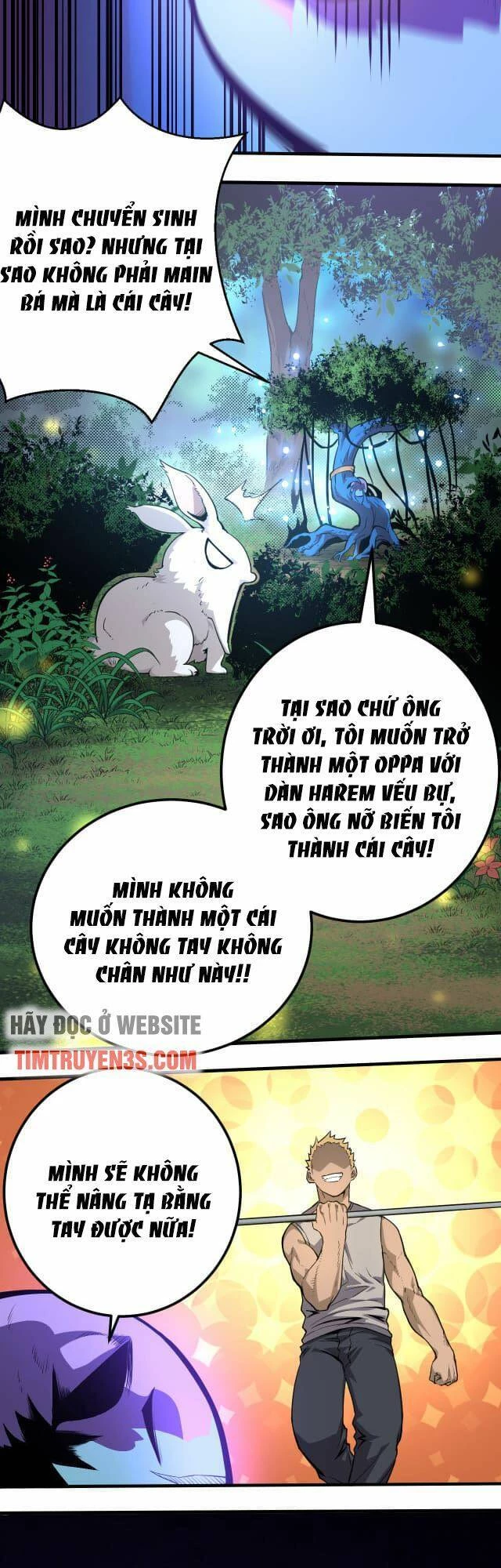 Chuyển Sinh Thành Liễu Đột Biến Chapter 1 - Trang 4