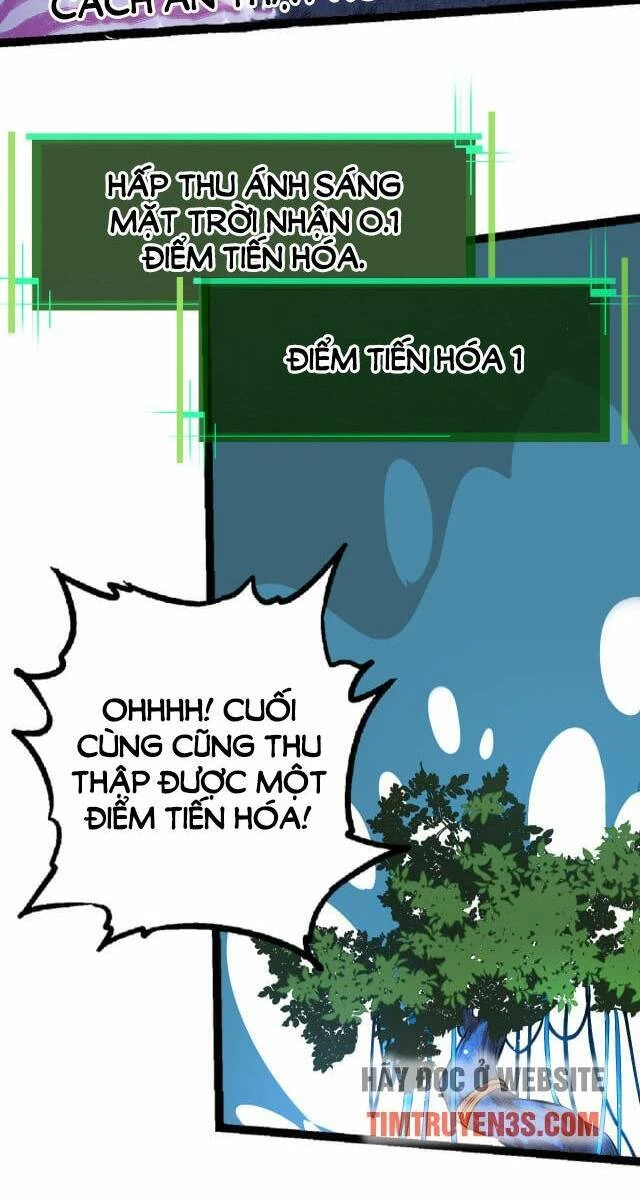 Chuyển Sinh Thành Liễu Đột Biến Chapter 2 - Trang 4