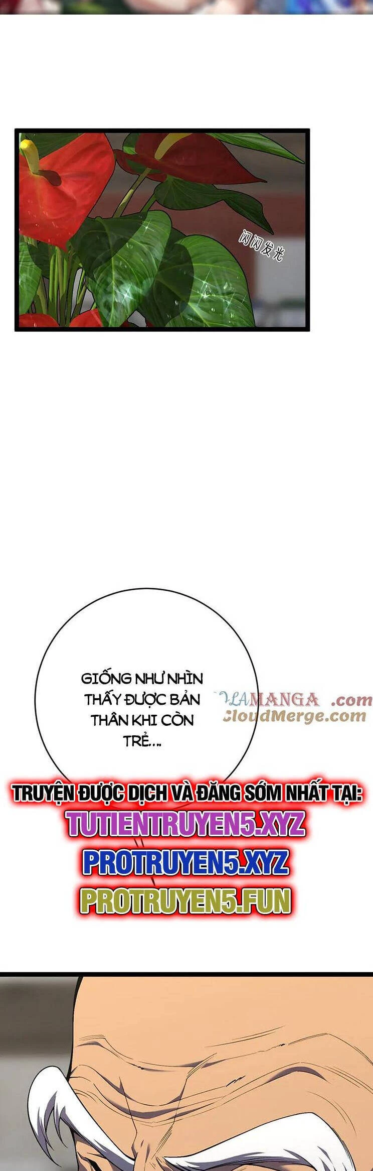 Thiên Phú Của Ngươi, Giờ Là Của Ta Chapter 75 - Trang 4