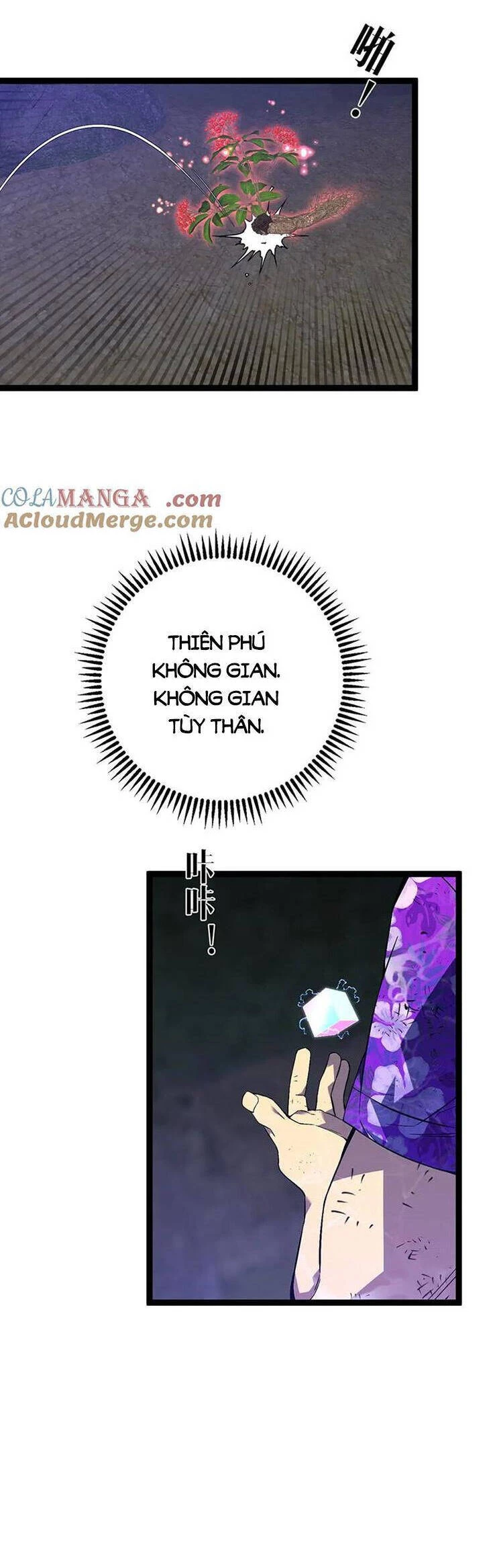 Thiên Phú Của Ngươi, Giờ Là Của Ta Chapter 75 - Trang 4