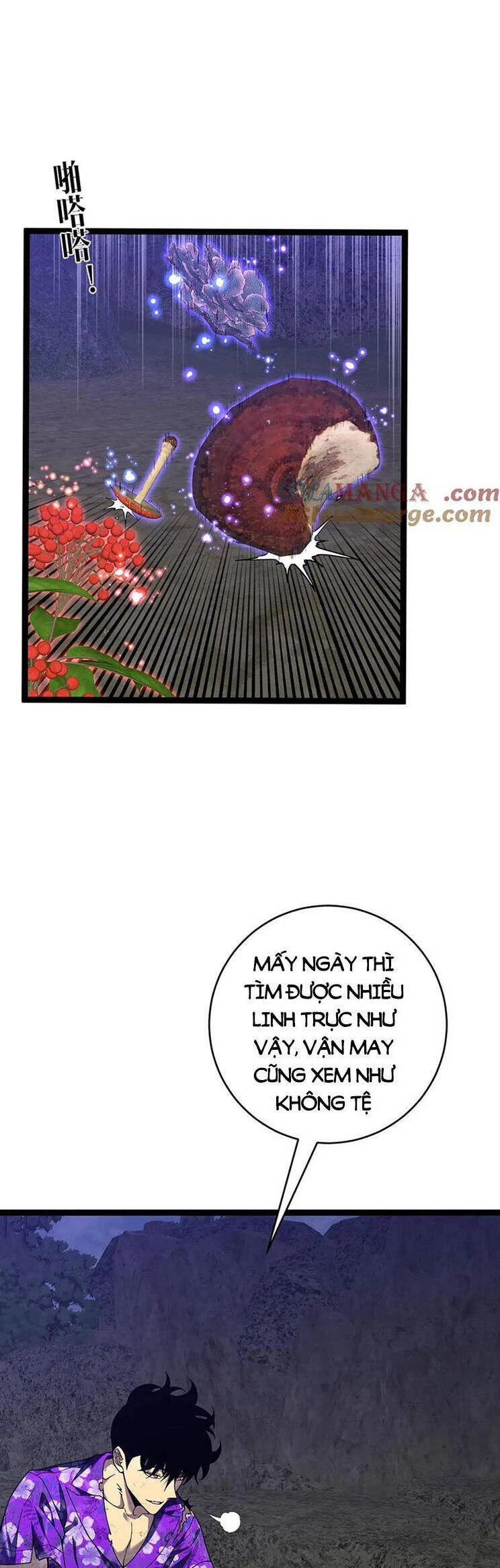 Thiên Phú Của Ngươi, Giờ Là Của Ta Chapter 75 - Trang 4