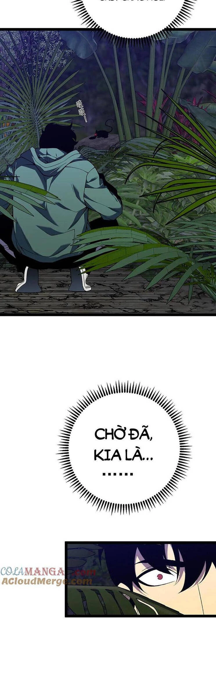 Thiên Phú Của Ngươi, Giờ Là Của Ta Chapter 75 - Trang 4