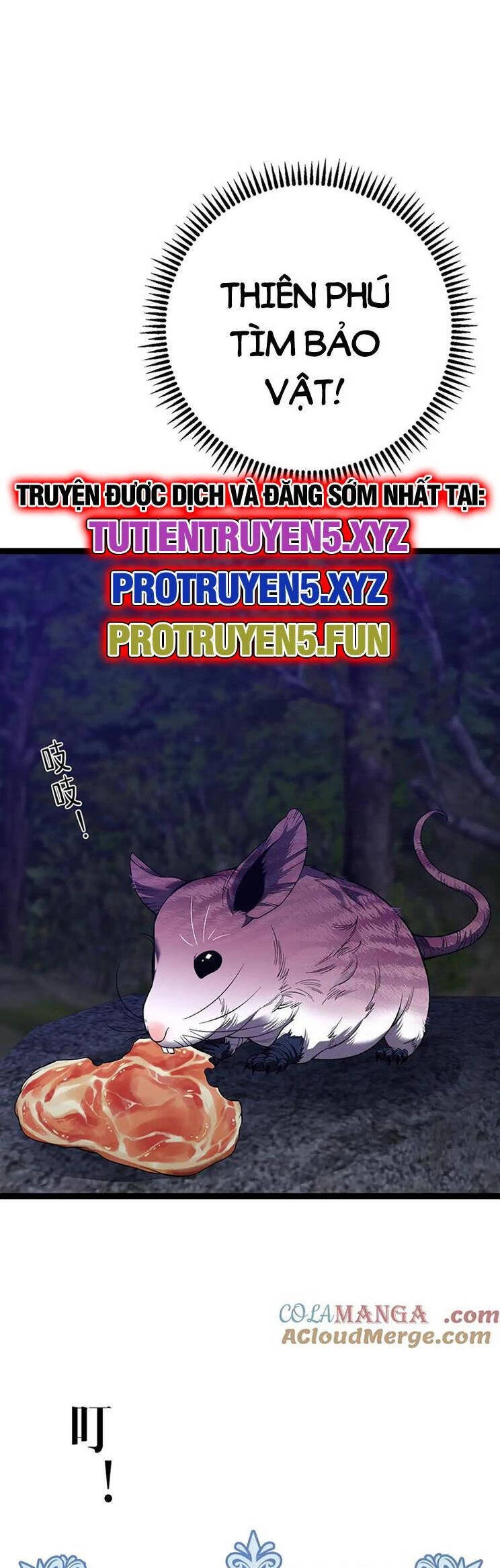 Thiên Phú Của Ngươi, Giờ Là Của Ta Chapter 75 - Trang 4