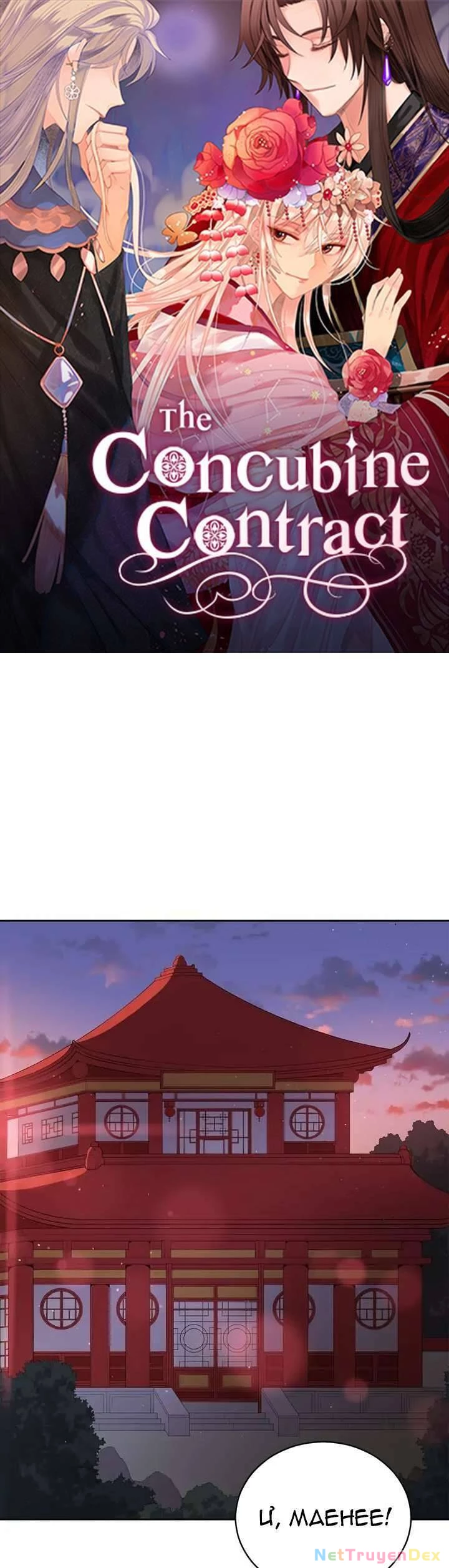 Ái Phi, Dao Của Nàng Rơi Rồi Chapter 76 - Trang 4