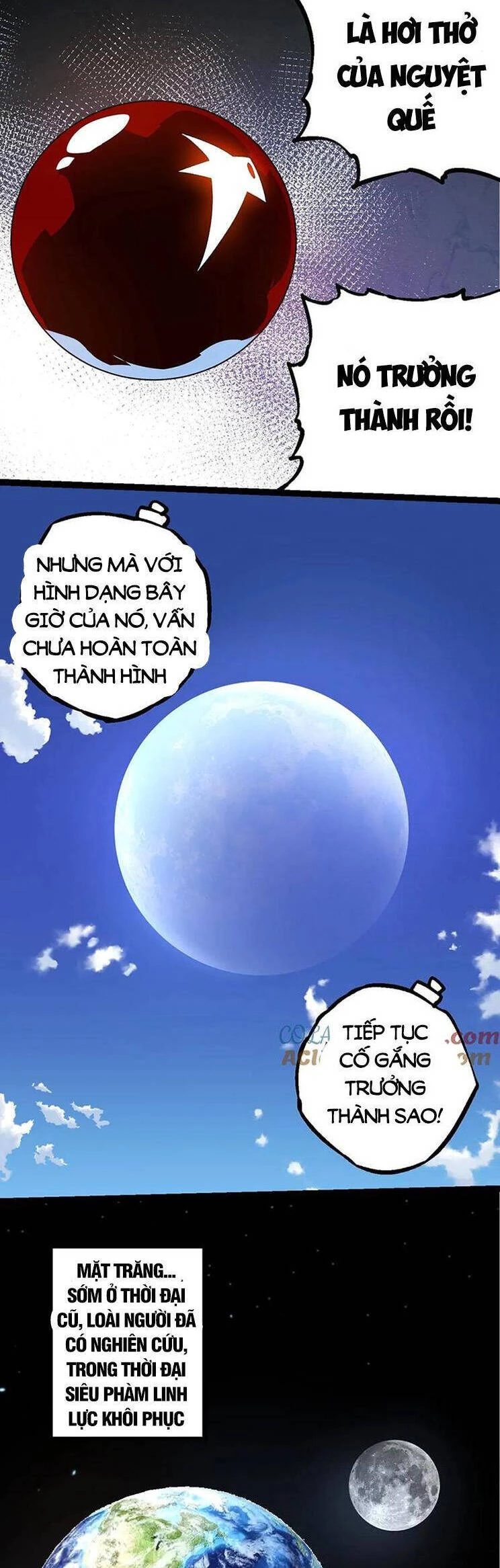 Chuyển Sinh Thành Liễu Đột Biến Chapter 203 - Trang 4