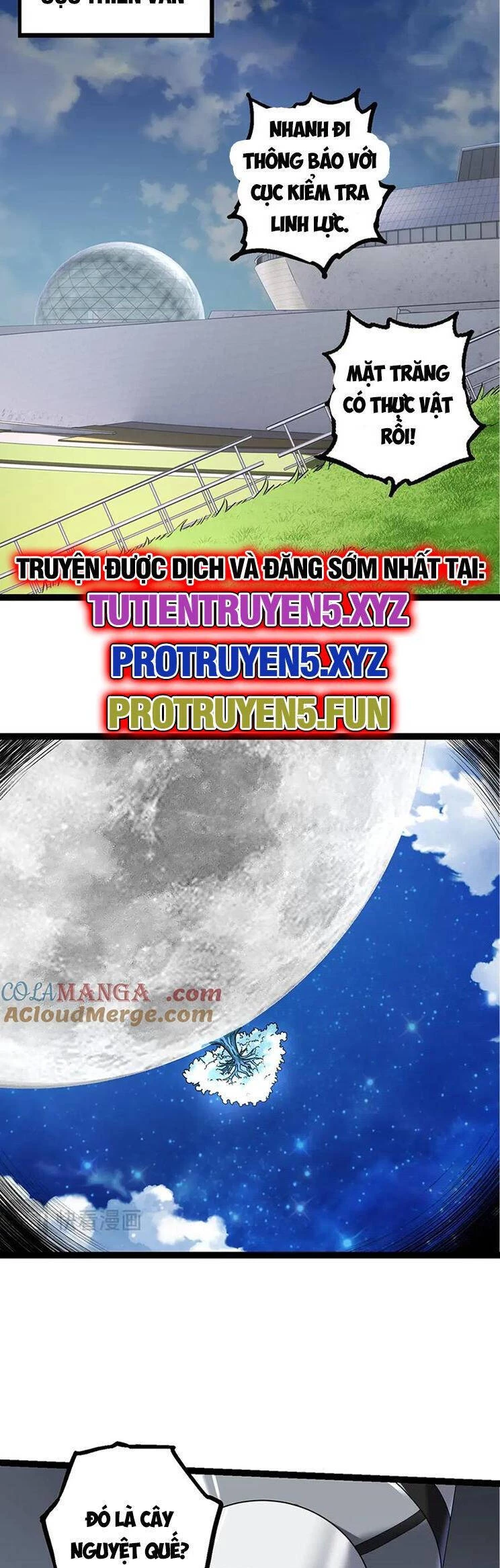 Chuyển Sinh Thành Liễu Đột Biến Chapter 203 - Trang 4