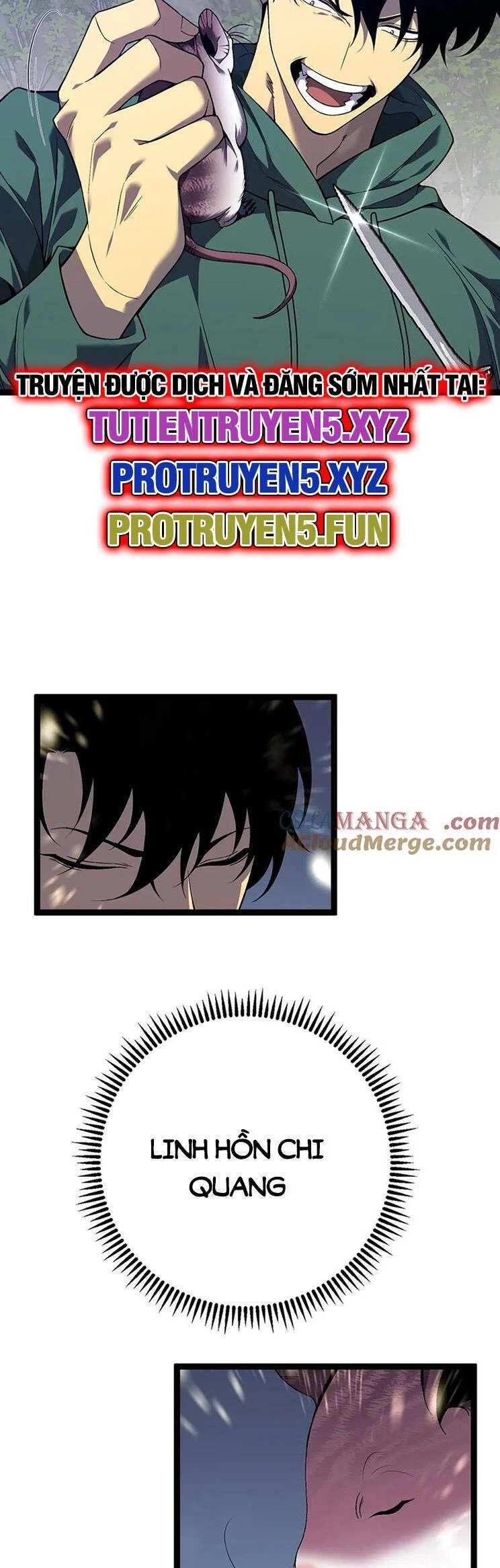 Thiên Phú Của Ngươi, Giờ Là Của Ta Chapter 76 - Trang 4