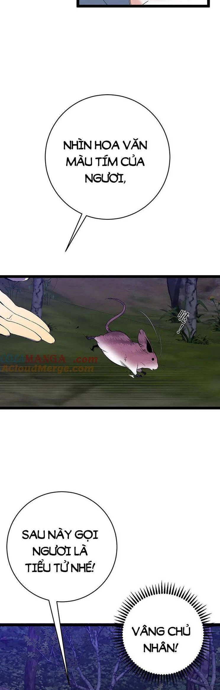 Thiên Phú Của Ngươi, Giờ Là Của Ta Chapter 76 - Trang 4