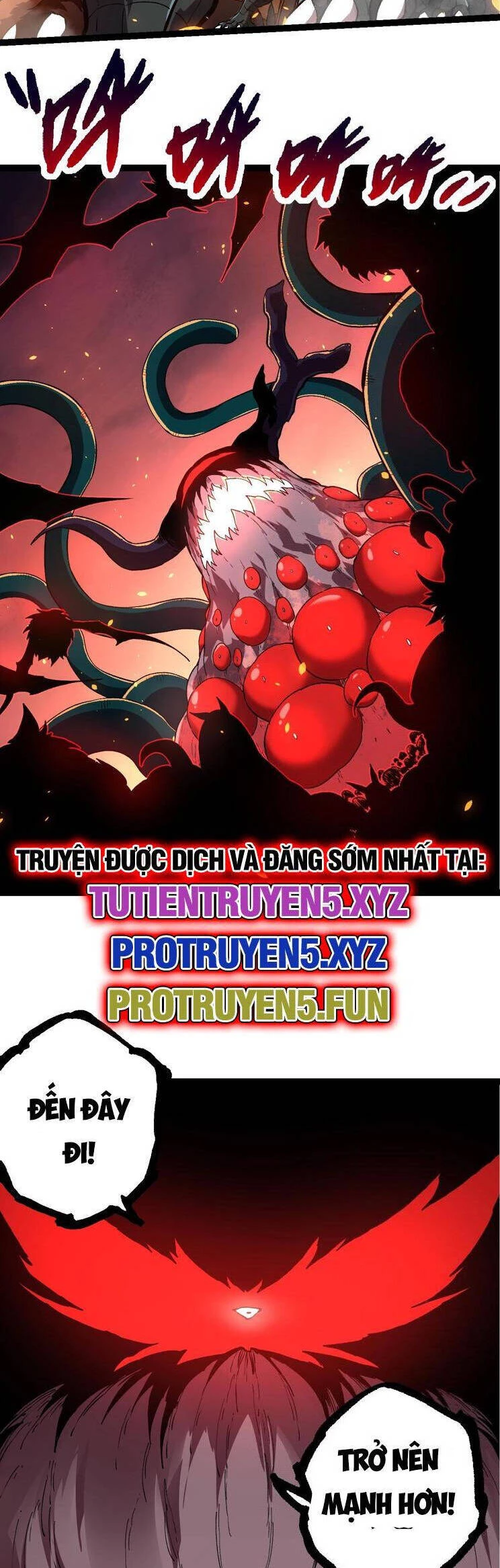 Chuyển Sinh Thành Liễu Đột Biến Chapter 206 - Trang 4