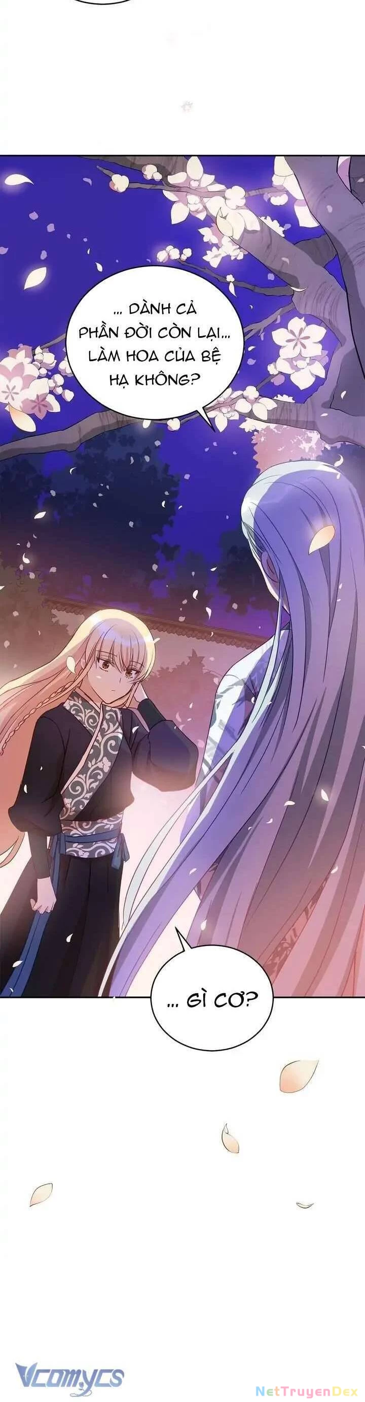 Ái Phi, Dao Của Nàng Rơi Rồi Chapter 77 - Trang 4