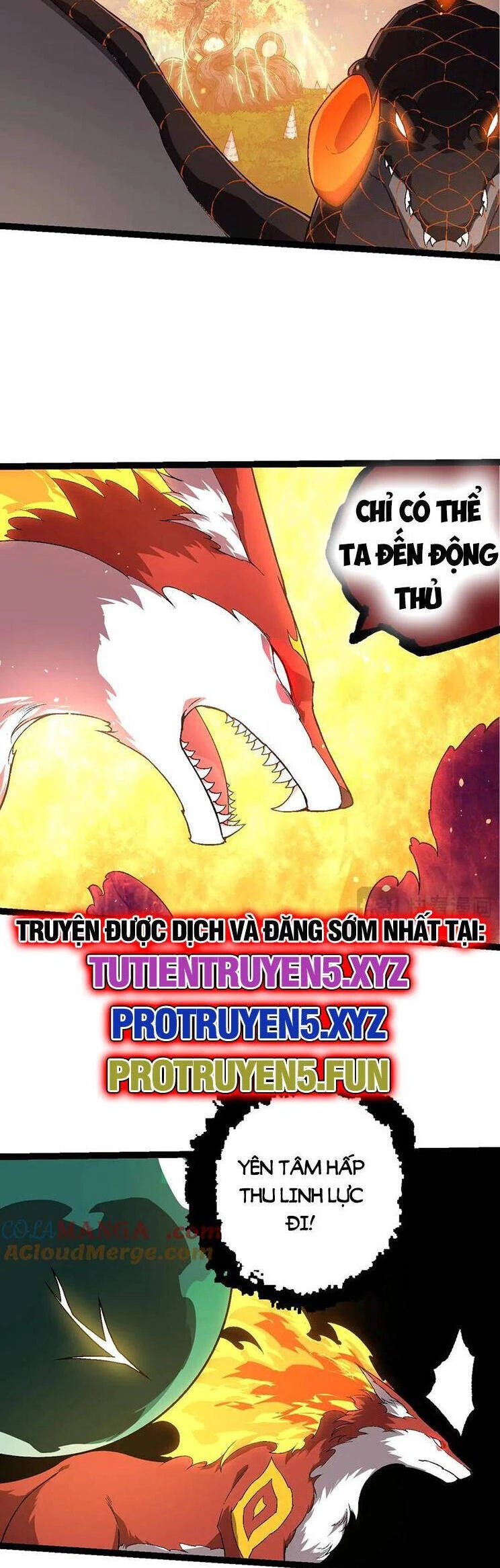 Chuyển Sinh Thành Liễu Đột Biến Chapter 209 - Trang 4
