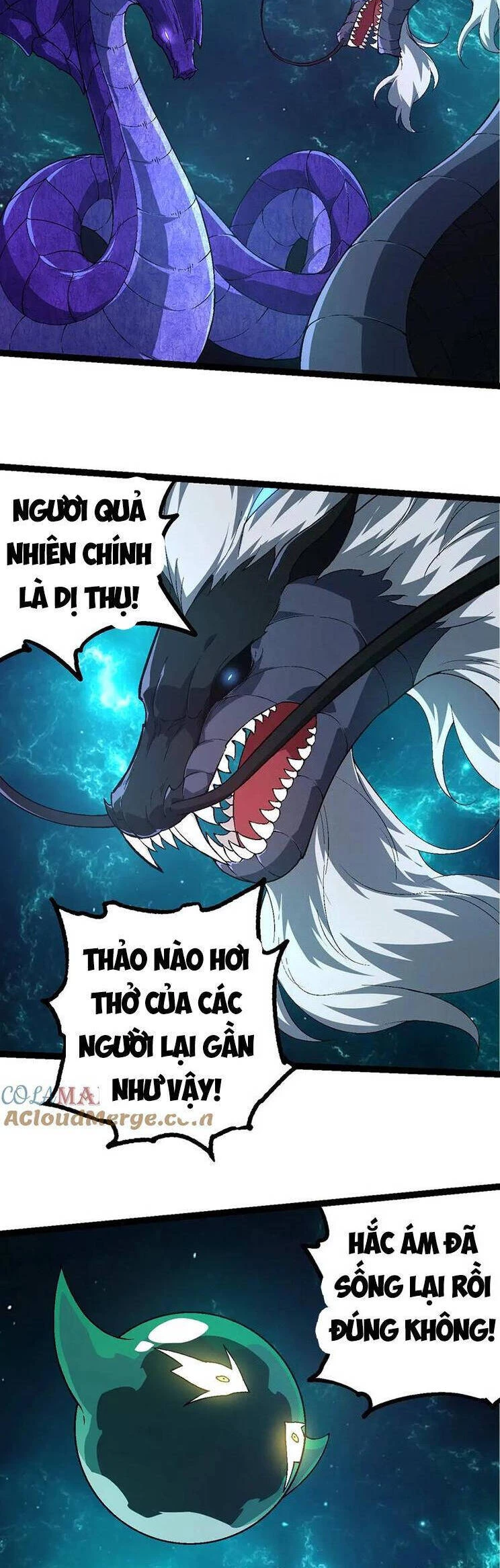 Chuyển Sinh Thành Liễu Đột Biến Chapter 209 - Trang 4