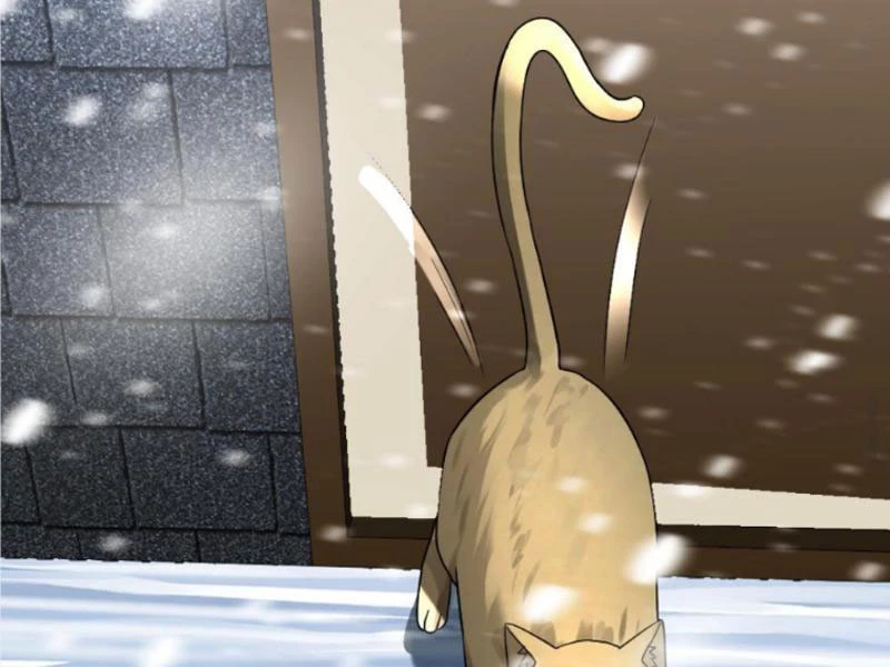 Toàn Cầu Băng Phong: Ta Chế Tạo Phòng An Toàn Tại Tận Thế Chapter 284 - Trang 4