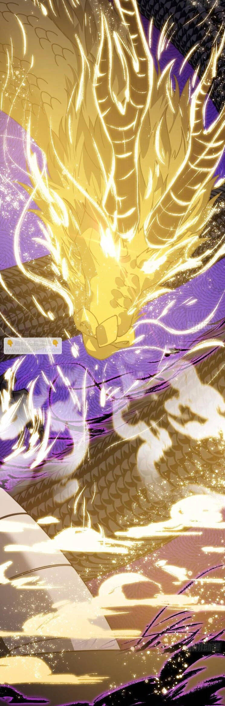 Ta Có Một Sơn Trại Chapter 894 - Trang 4