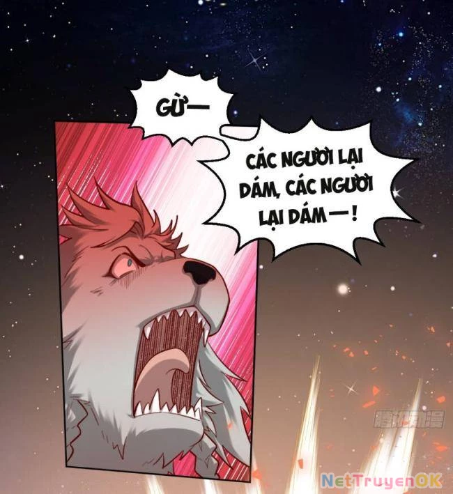 Nguyên Lai Ta Là Tu Tiên Đại Lão Chapter 412 - Trang 4