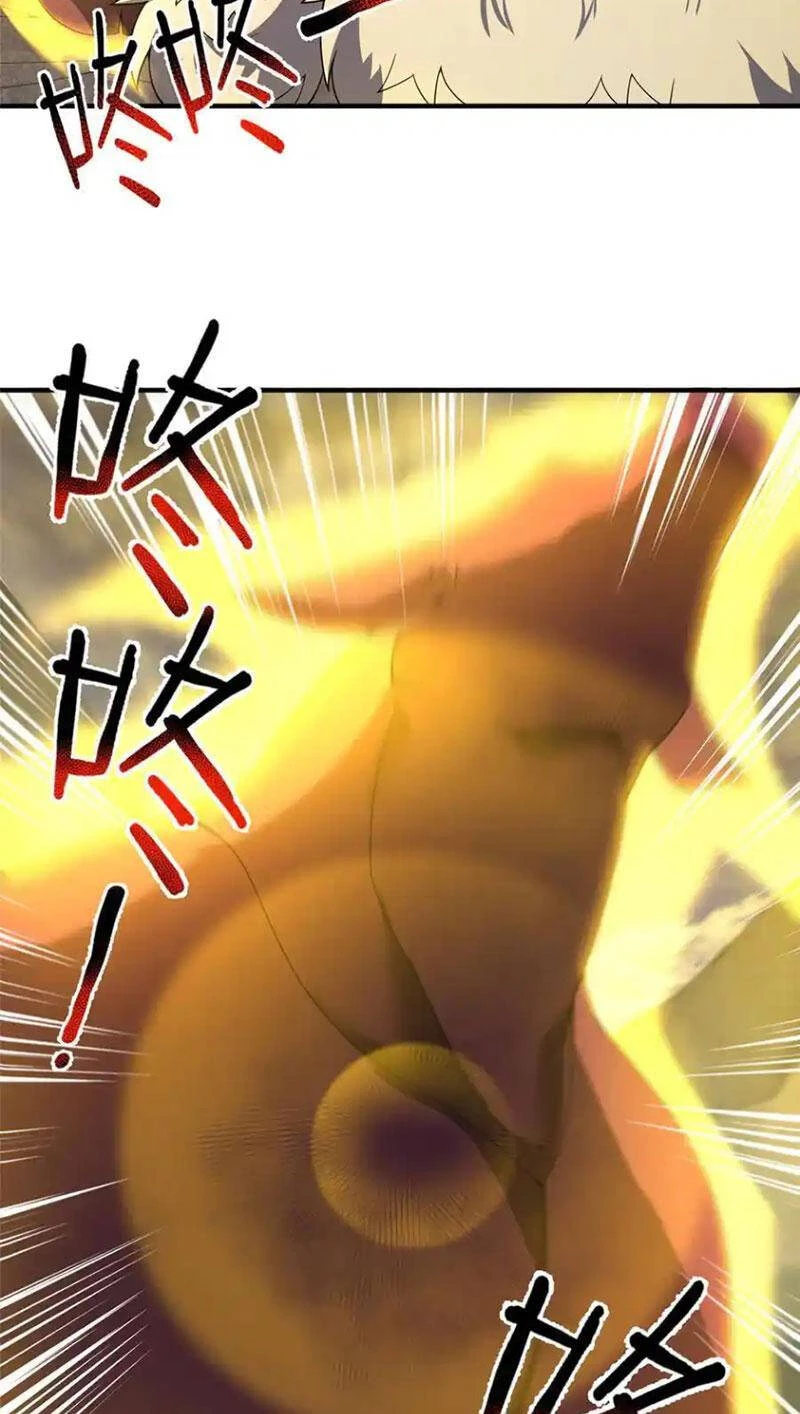 Thần Sủng Tiến Hóa Chapter 308 - Trang 4