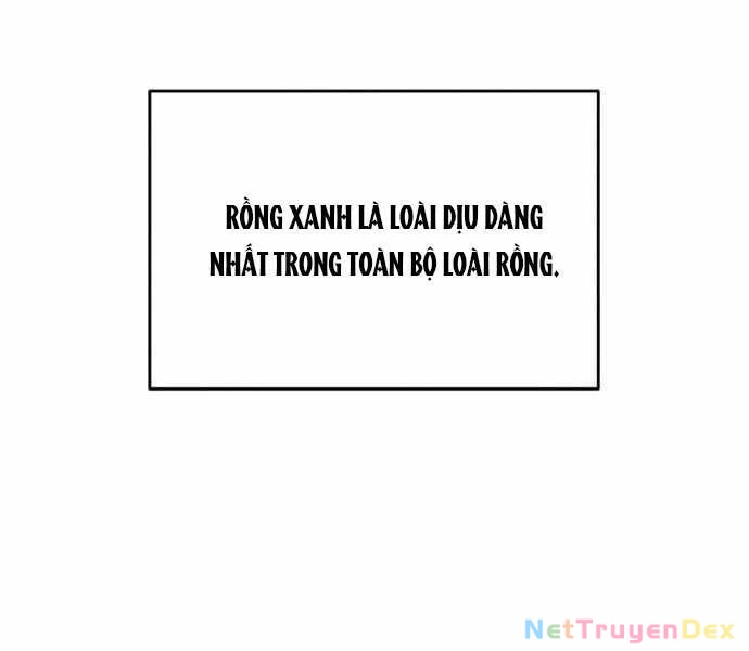 Sự Thức Tỉnh Của Hắc Ma Pháp Sư Sau 66666 Năm Chapter 33 - Trang 4