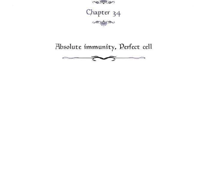 Sự Thức Tỉnh Của Hắc Ma Pháp Sư Sau 66666 Năm Chapter 34 - Trang 4