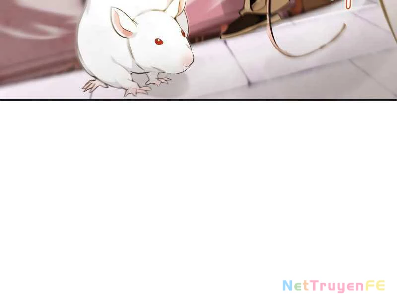 Sự Thức Tỉnh Của Hắc Ma Pháp Sư Sau 66666 Năm Chapter 35 - Trang 4