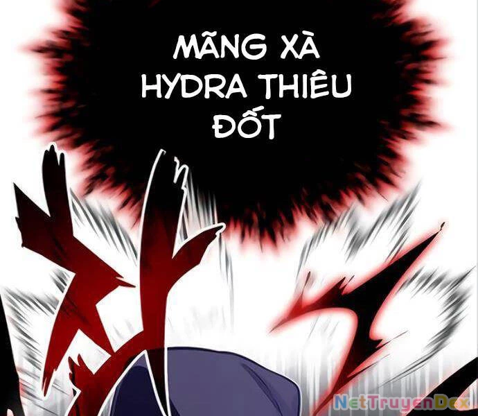 Sự Thức Tỉnh Của Hắc Ma Pháp Sư Sau 66666 Năm Chapter 39 - Trang 4