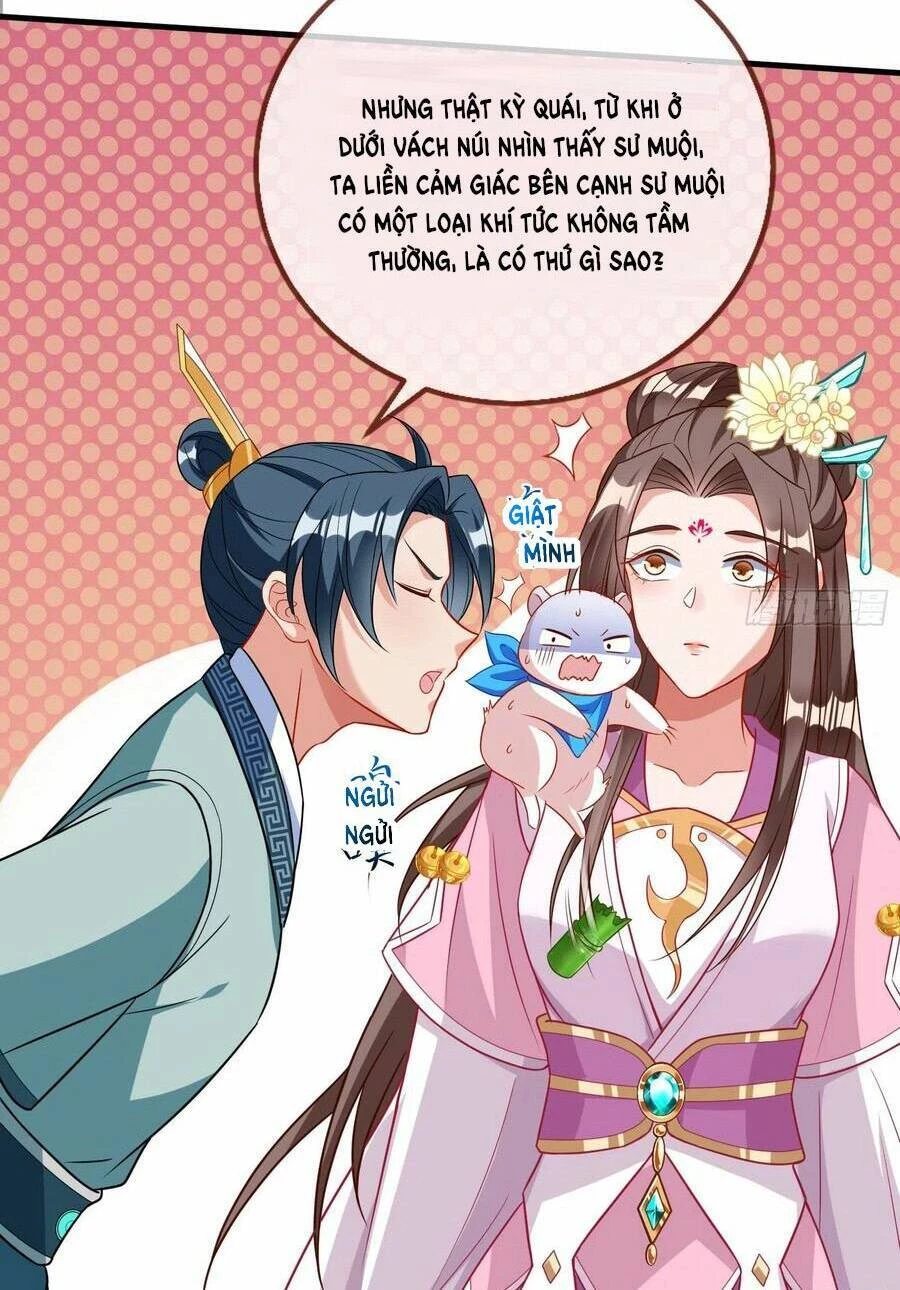 Vạn Tra Triêu Hoàng Chapter 481: Người mà chúng ta sẽ ra tay đầu tiên - Next Chapter 482: Ra mắt mồi nhử