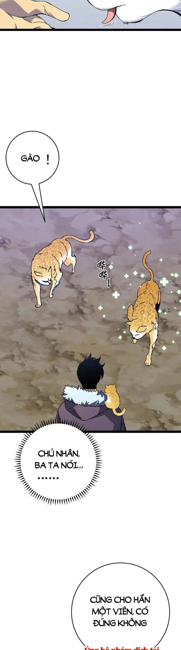 Thiên Phú Của Ngươi, Giờ Là Của Ta Chapter 45 - Trang 4