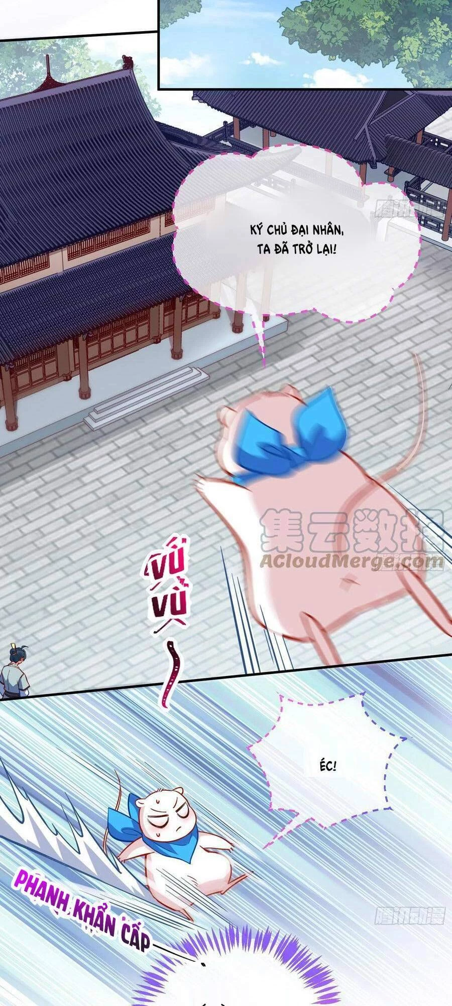 Vạn Tra Triêu Hoàng Chapter 485: Thích chưng diện nhập ma - Trang 4