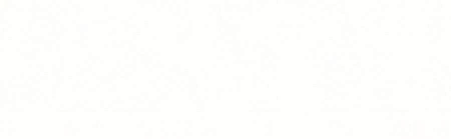 Người Chơi Mới Cấp Tối Đa Chapter 19 - Trang 4