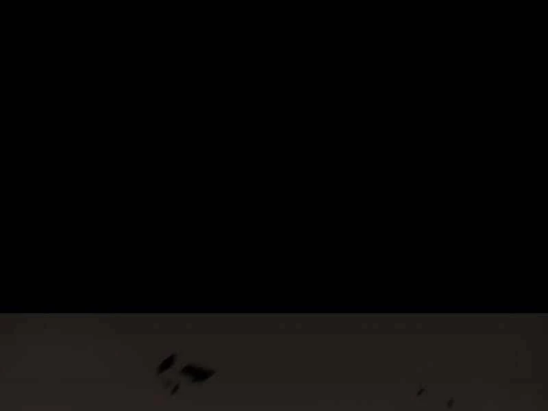 Người Chơi Mới Cấp Tối Đa Chapter 50 - Trang 4