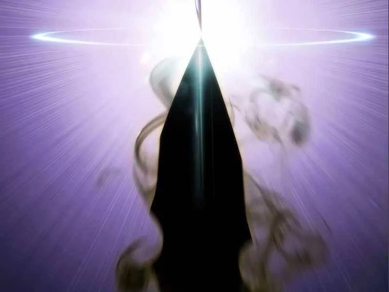 Người Chơi Mới Cấp Tối Đa Chapter 56.5 - Trang 2