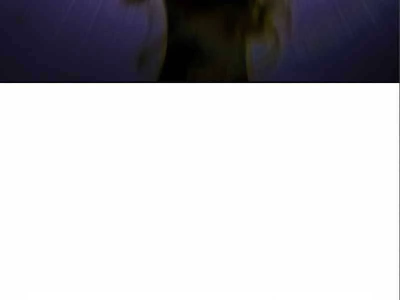 Người Chơi Mới Cấp Tối Đa Chapter 56.5 - Trang 2