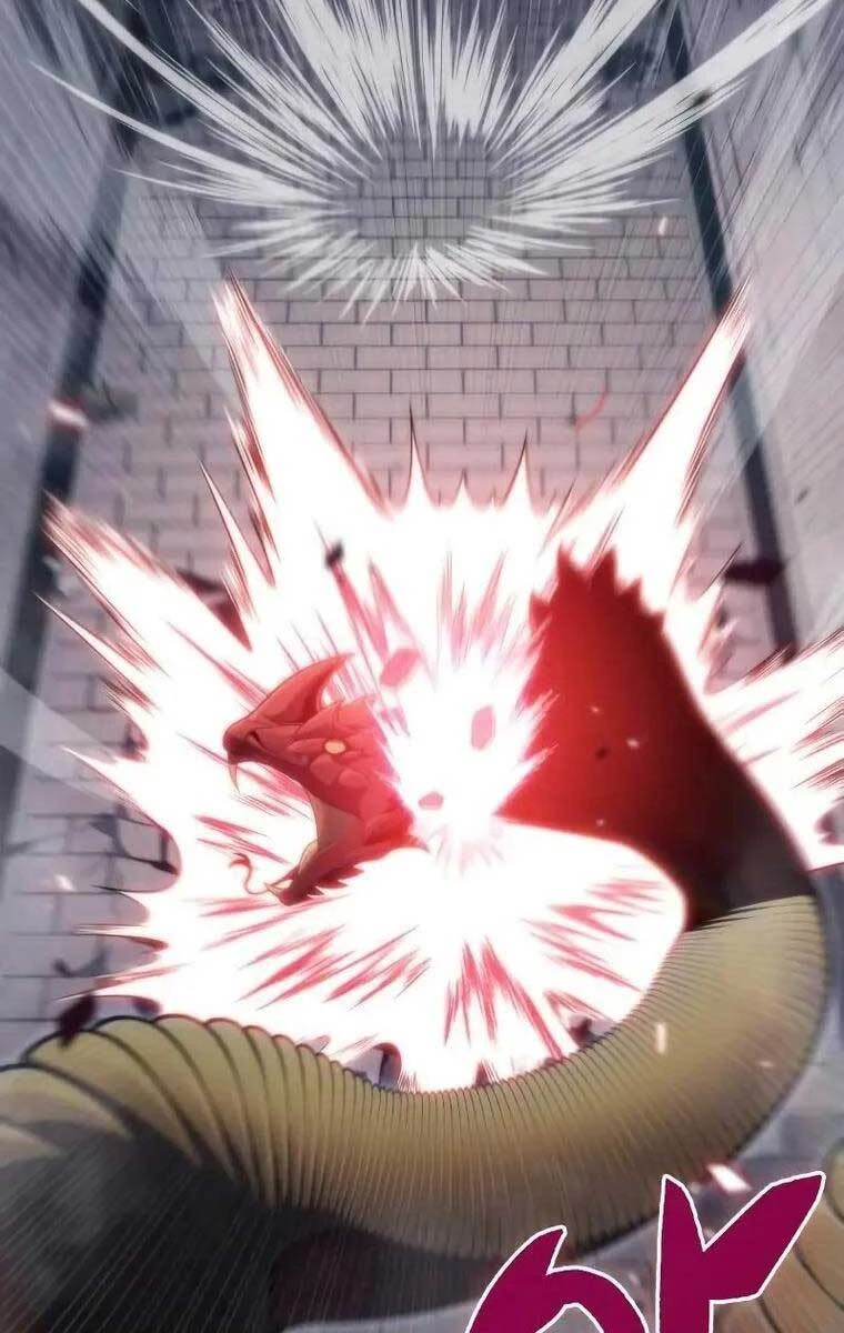 Người Chơi Mới Cấp Tối Đa Chapter 68 - Trang 4