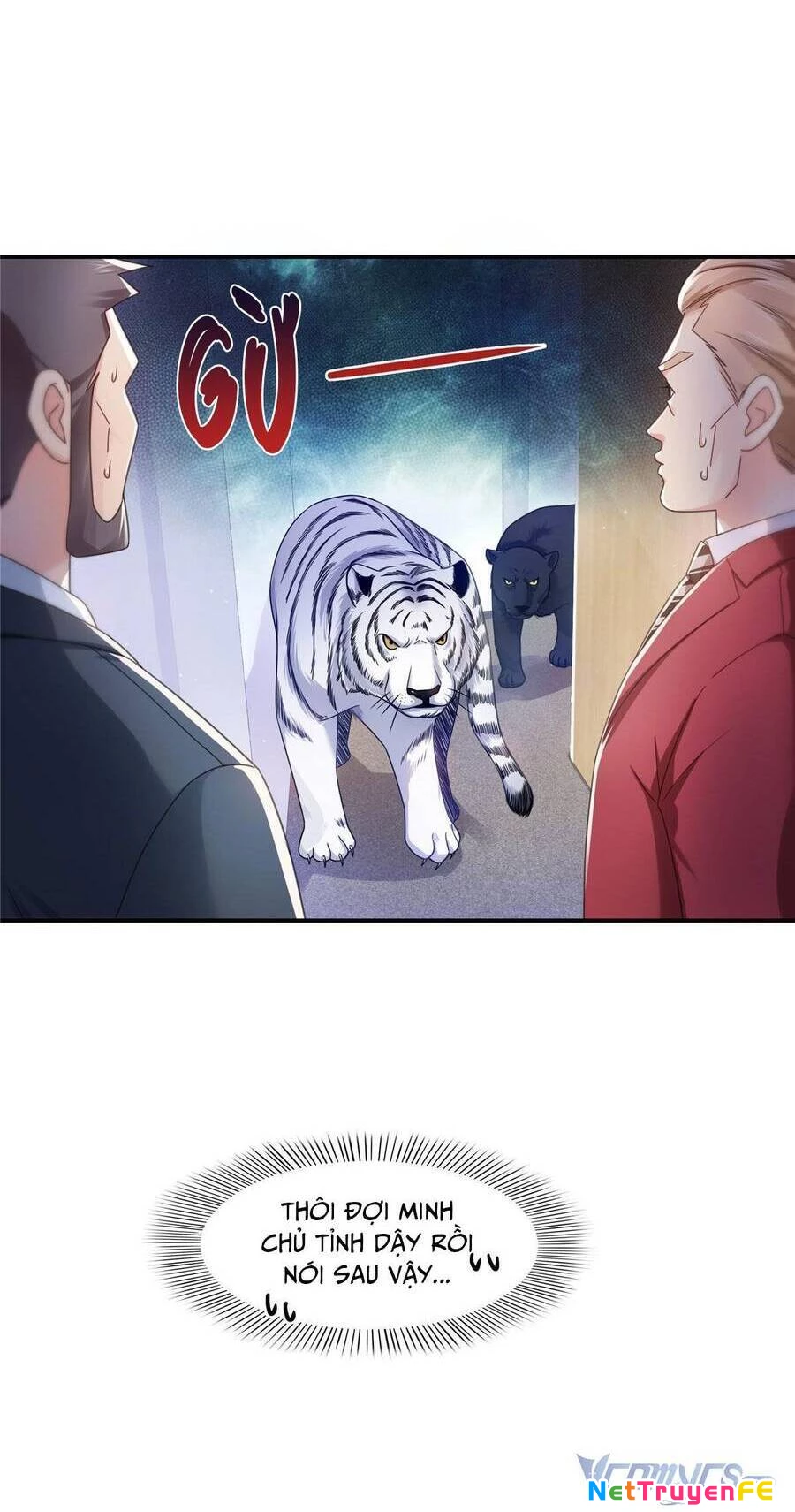 Hệt Như Hàn Quang Gặp Nắng Gắt Chap 311 - Trang 4