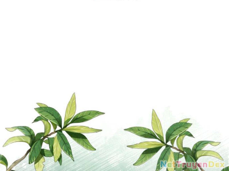 Đệ Nhất Võ Sư, Baek Cao Thủ Chapter 16 - Trang 4