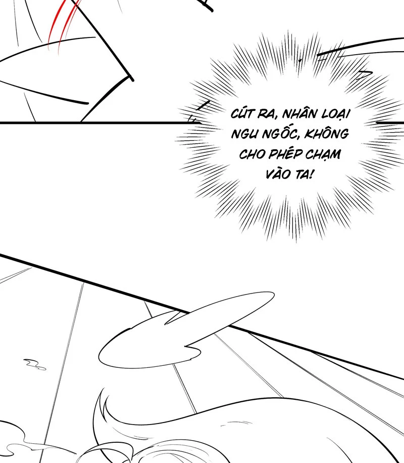 Ta Thực Sự Không Muốn Làm Thần Tiên Chapter 2 - Trang 4