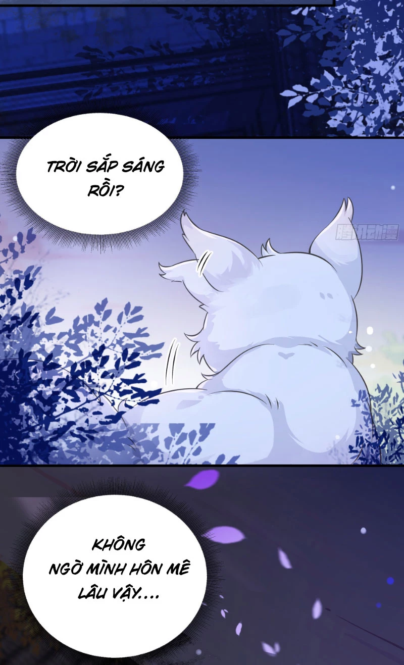 Ta Thực Sự Không Muốn Làm Thần Tiên Chapter 3 - Trang 4