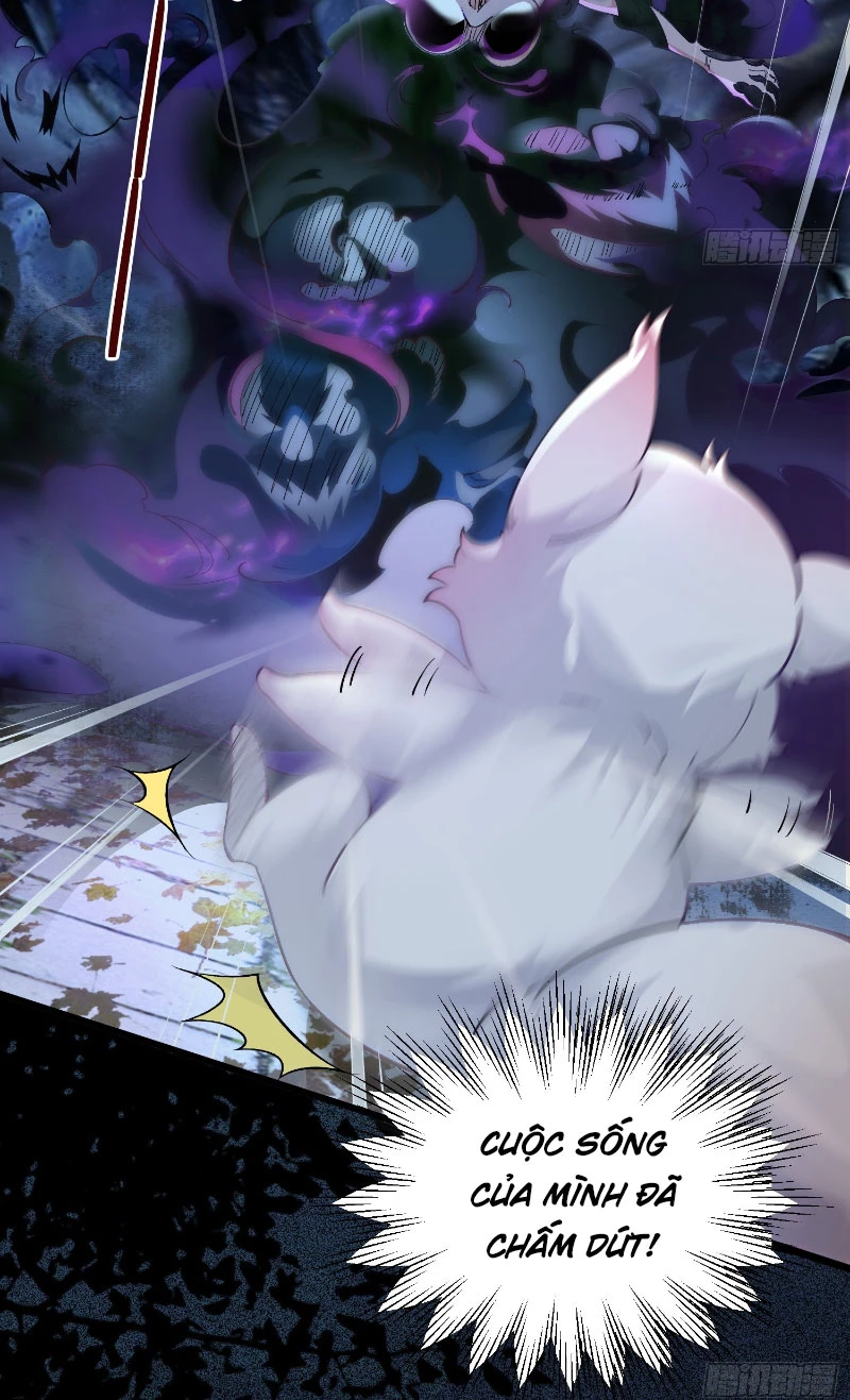 Ta Thực Sự Không Muốn Làm Thần Tiên Chapter 3 - Trang 4