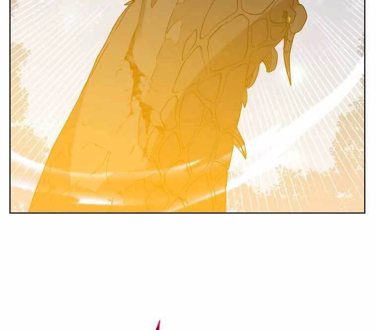 Anh Hùng Mạnh Nhất Trở Lại Chapter 113 - Trang 4