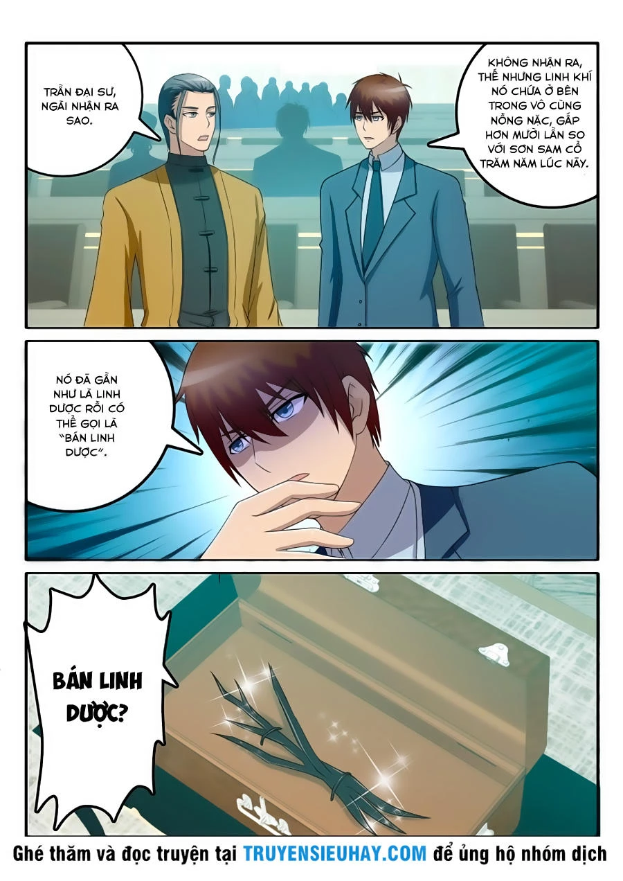 Trọng Sinh Đô Thị Tu Tiên Chapter 43 - Trang 4