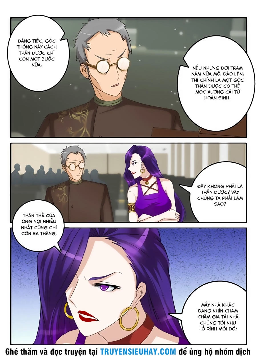 Trọng Sinh Đô Thị Tu Tiên Chapter 44 - Trang 4