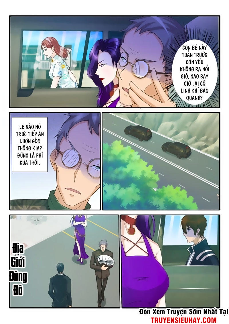 Trọng Sinh Đô Thị Tu Tiên Chapter 46 - Trang 4