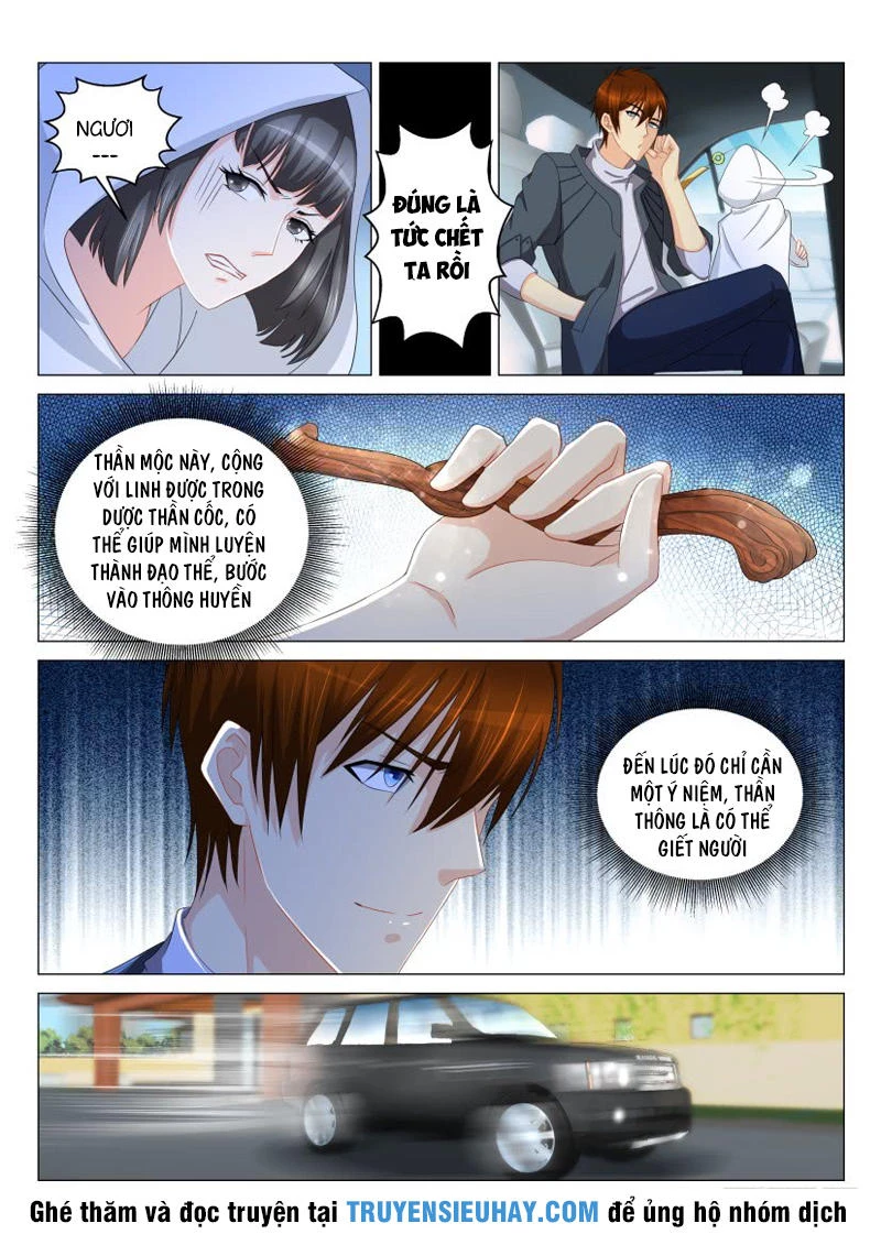 Trọng Sinh Đô Thị Tu Tiên Chapter 123 - Trang 4