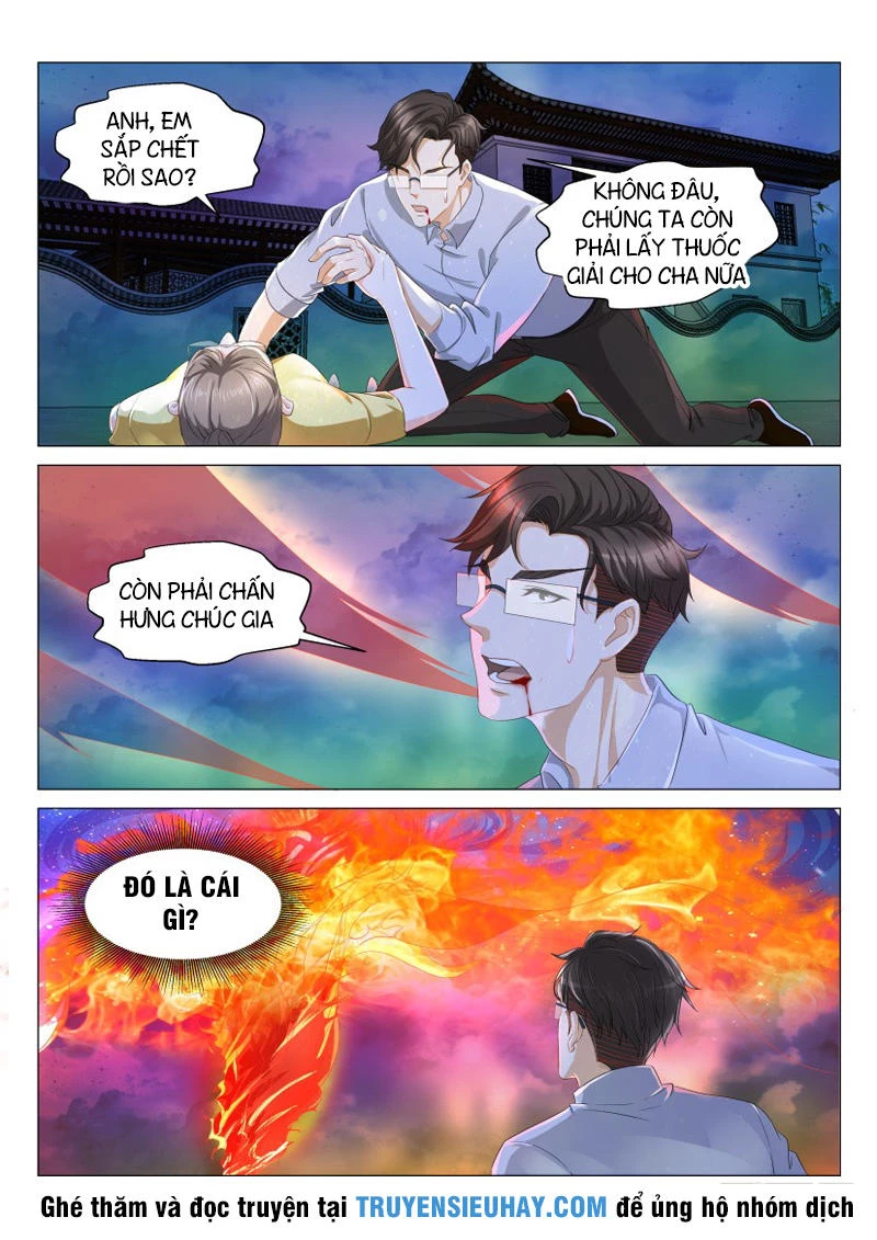 Trọng Sinh Đô Thị Tu Tiên Chapter 129 - Trang 4